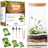 Kit Terrario Plantas DIY - Set con Frasco de Cristal Ecosistema Cerrado Plantas...